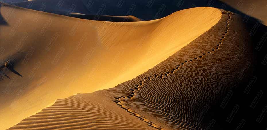 بلیط قطار کرج  سمنان - رسپینا 24